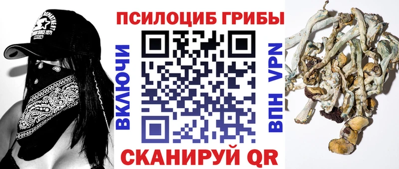 Галлюциногенные грибы GOLDEN TEACHER  купить наркотики сайты  Собинка 